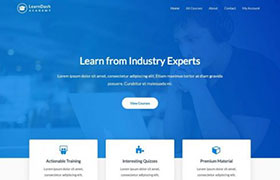 learndash-academy-webdesign