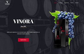 winery-webdesign